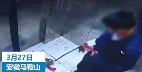 小男孩爆料教材视频,揭秘教育界的秘密角落